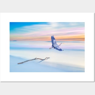 Great Blue Heron at Sunset Posters and Art